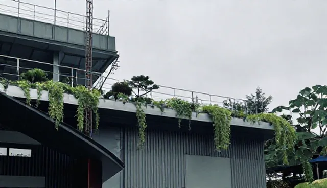 用户评价中常见的理解偏差与正确选型关注点
