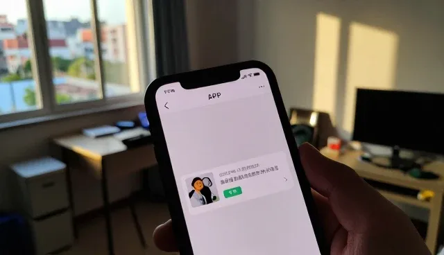 APP开发提升系统集成服务水平